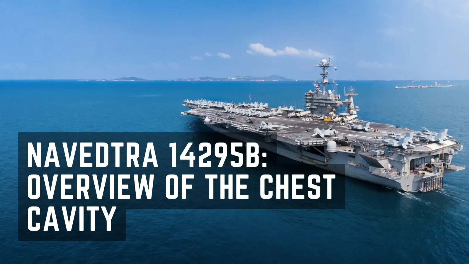 Navedtra 14295B overview of the chest cavity - militaryguidecentral.com