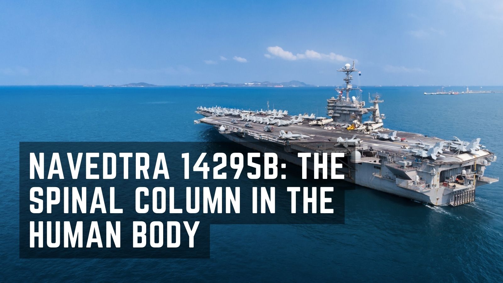 Navedtra 14295B uthe spinal column in the human body - militaryguidecentral.com